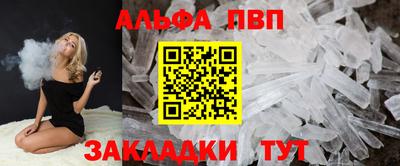 бошки Кингисепп