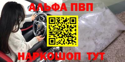 бошки Кингисепп