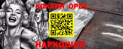 бошки Кингисепп