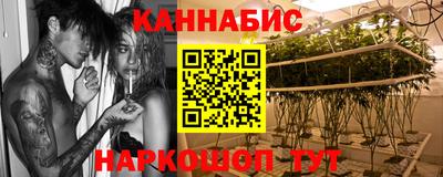 бошки Кингисепп