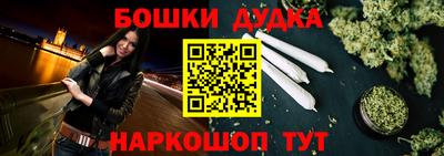 бошки Кингисепп