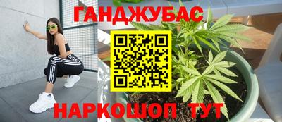 бошки Кингисепп