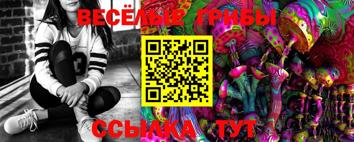 Псилоцибиновые грибы MAGIC MUSHROOMS  Галлюциногенные грибы прущие грибы  Вход с VPN  Вологда 