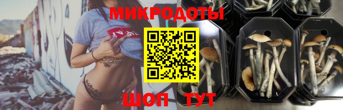 Псилоцибиновые грибы мицелий Вологда
